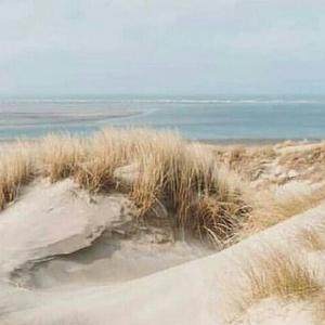 Wood Sage & Sea Salt